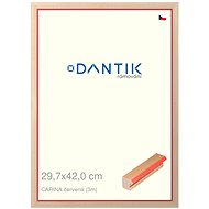 DANTIK frame 29,7 × 42, CARINA red plexi clear - Photo Frame