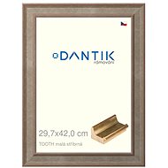 DANTIK frame 29,7 × 42, TOOTH small silver plexi clear - Photo Frame