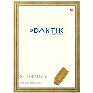 DANTIK frame 29,7 × 42, DELFINO gold plexi clear - Photo Frame