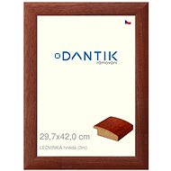 DANTIK frame 29,7 × 42, LEDVINKA brown plexi clear - Photo Frame