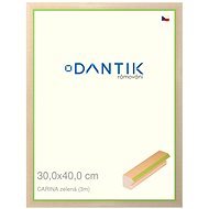 DANTIK frame 30 × 40, CARINA green plexi clear - Photo Frame
