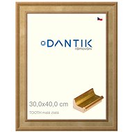 DANTIK frame 30 × 40, TOOTH small gold plexi clear - Photo Frame