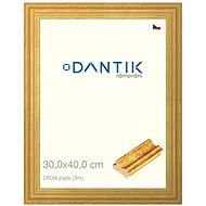 DANTIK frame 30 × 40, LYON gold plexi clear - Photo Frame