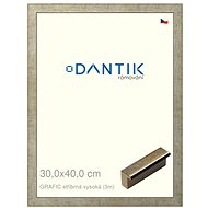 DANTIK frame 30 × 40, GRAFIC silver high plexi clear - Photo Frame