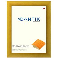 DANTIK frame 30 × 40, LEDVINKA yellow plexi clear - Photo Frame