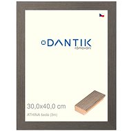 DANTIK frame 30 × 40, ATHINA grey plexi clear - Photo Frame