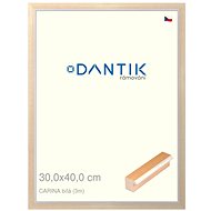 DANTIK frame 30 × 40, CARINA White plexi clear - Photo Frame