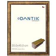 DANTIK frame 30 × 40, TRITON gold plexi clear - Photo Frame