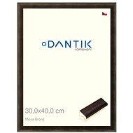 DANTIK frame 30 × 40, Mosa bronze plexi clear - Photo Frame