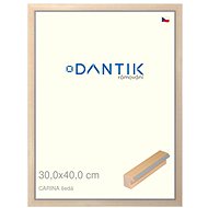 DANTIK frame 30 × 40, CARINA grey plexi clear - Photo Frame