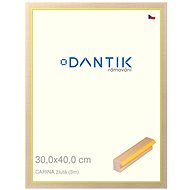DANTIK frame 30 × 40, CARINA yellow plexi clear - Photo Frame
