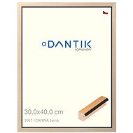 DANTIK frame 30 × 40, CARINA black plexi clear - Photo Frame
