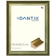 DANTIK frame 30 × 40, Ferrosa gold plexi clear - Photo Frame