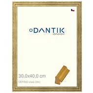 DANTIK frame 30 × 40, DELFINO gold plexi clear - Photo Frame