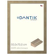 DANTIK frame 50 × 70, ANDRÉ large champagne plexi clear - Photo Frame