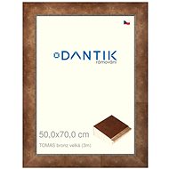 DANTIK frame 50 × 70, TOMAS bronze large plexi clear - Photo Frame