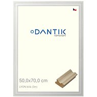 DANTIK frame 50 × 70, LYON White plexi clear - Photo Frame