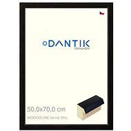 DANTIK frame 50 × 70, WOODLINE black plexi clear - Photo Frame