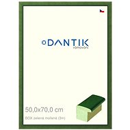 DANTIK frame 50 × 70, BOX green stained plexi clear - Photo Frame