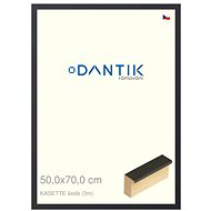 DANTIK frame 50 × 70, KASSETTE grey 2758 plexi clear - Photo Frame