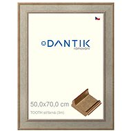 DANTIK frame 50 × 70, TOOTH silver plexi clear - Photo Frame