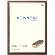 DANTIK frame 50 × 70, TAIGA brown plexi clear - Photo Frame