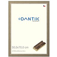 DANTIK frame 50 × 70, LYON silver plexi clear - Photo Frame