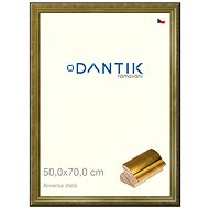 DANTIK frame 50 × 70, ANIVERSA gold plexi clear - Photo Frame