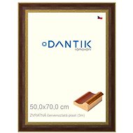 DANTIK frame 50 × 70, REVERSE red-gold plastic plexi clear - Photo Frame