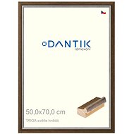 DANTIK frame 50 × 70, TAIGA light brown plexi clear - Photo Frame