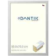 DANTIK frame 50 × 70, WOODLINE white plexi clear - Photo Frame
