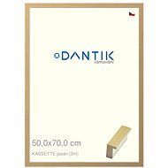 DANTIK frame 50 × 70, KASSETTE ash plexi clear - Photo Frame
