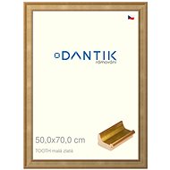 DANTIK frame 50 × 70, TOOTH small gold plexi clear - Photo Frame
