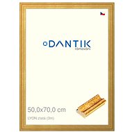 DANTIK frame 50 × 70, LYON gold plexi clear - Photo Frame