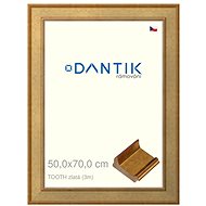DANTIK frame 50 × 70, TOOTH gold plexi clear - Photo Frame