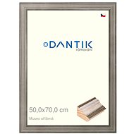 DANTIK frame 50 × 70, Museo silver plexi clear - Photo Frame