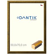 DANTIK frame 50 × 70, Forgia Gold plexi clear - Photo Frame