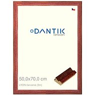 DANTIK frame 50 × 70, LYON red plexi clear - Photo Frame