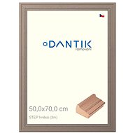 DANTIK frame 50 × 70, STEP brown plexi clear - Photo Frame