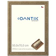 DANTIK frame 50 × 70, WING small silver patina plexi clear - Photo Frame