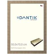 DANTIK frame 50 × 70, Golf champagne plexi clear - Photo Frame