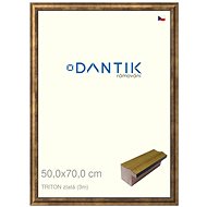 DANTIK frame 50 × 70, TRITON gold plexi clear - Photo Frame
