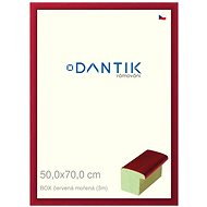 DANTIK frame 50 × 70, BOX red stained plexi clear - Photo Frame