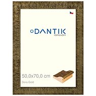 DANTIK frame 50 × 70, Dora Gold plexi clear - Photo Frame