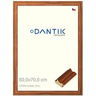 DANTIK frame 50 × 70, LYON brown plexi clear - Photo Frame