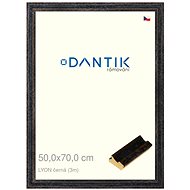 DANTIK frame 50 × 70, LYON black plexi clear - Photo Frame