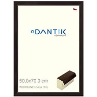 DANTIK frame 50 × 70, WOODLINE brown plexi clear - Photo Frame