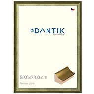 DANTIK frame 50 × 70, Ferrosa gold plexi clear - Photo Frame