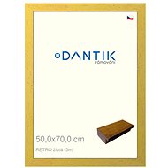 DANTIK frame 50 × 70, RETRO yellow plexi clear - Photo Frame