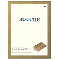 DANTIK frame 50 × 70, ANDRÉ large antique silver plexi clear - Photo Frame